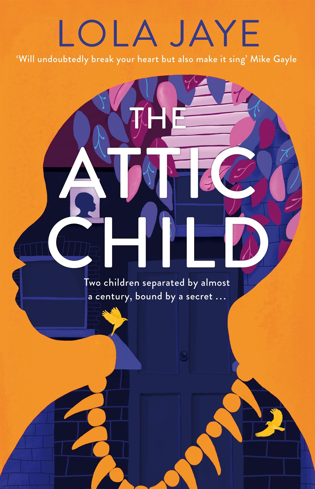 The Attic Child by Lola Jaye (Pan MacMillan)