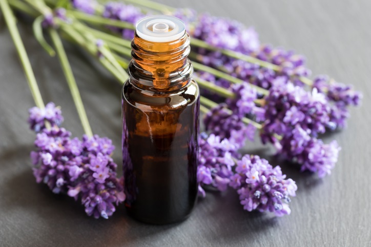 advice,health,aromatherapy,essential oil,lavender 