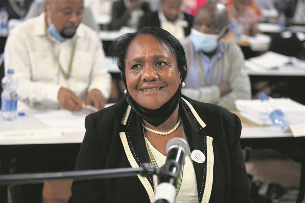 The ANC's Eugene Johnson was elected as the new executive mayor of Nelson Mandela Bay.