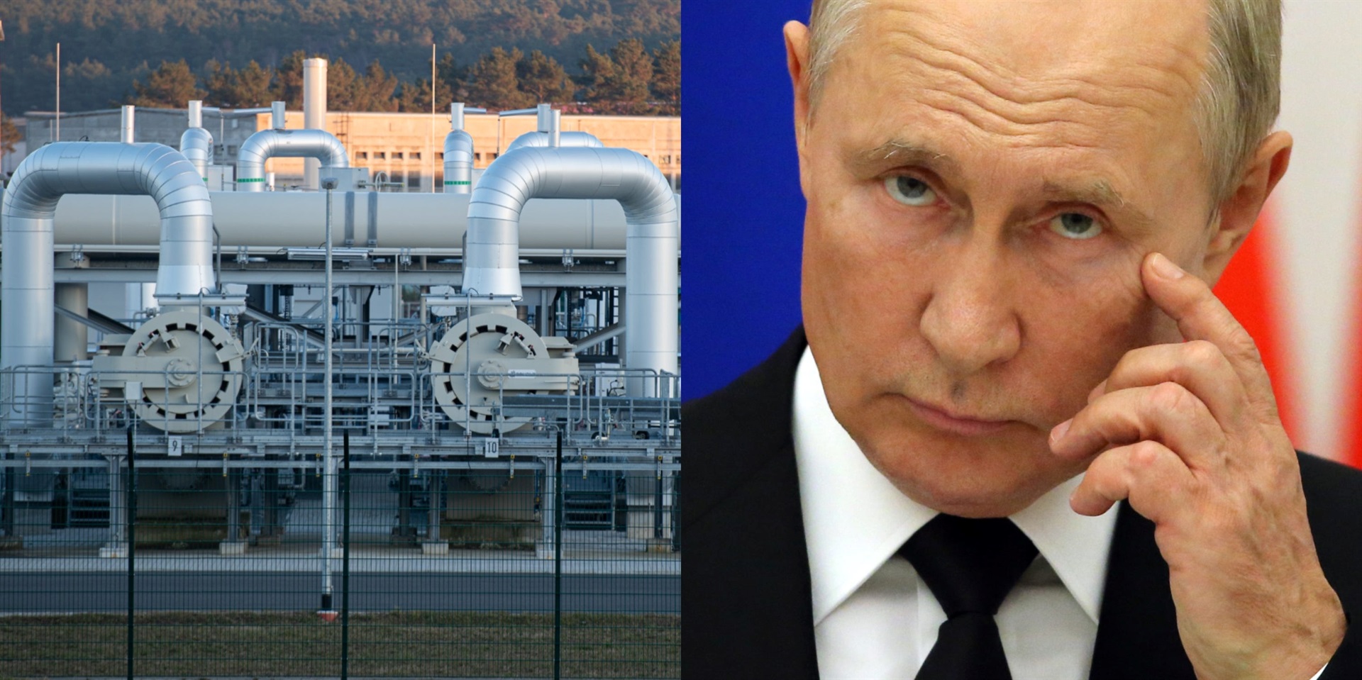 A composite image of part of the Nord Stream gas pipeline and Russian President Vladimir Putin. Daniel Reinhardt/Picture Alliance via Getty Images
