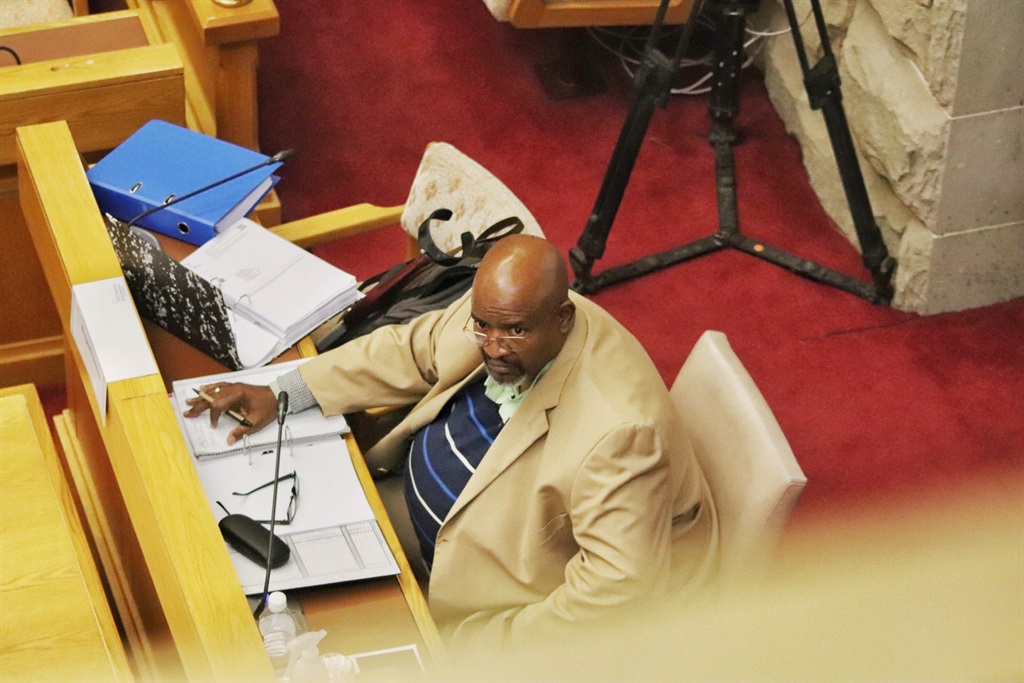 Sphelo Samuel testifying before the Section 194 Committee at Parliament. Photo: Jan Gerber/News24