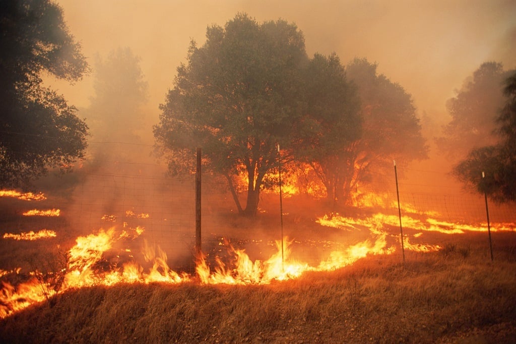 Heatwaves, drought and climate change are fuelling wildfires across the world.