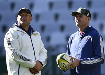 Who will the next Springbok coach be? Stick, Davids emerge as favourites