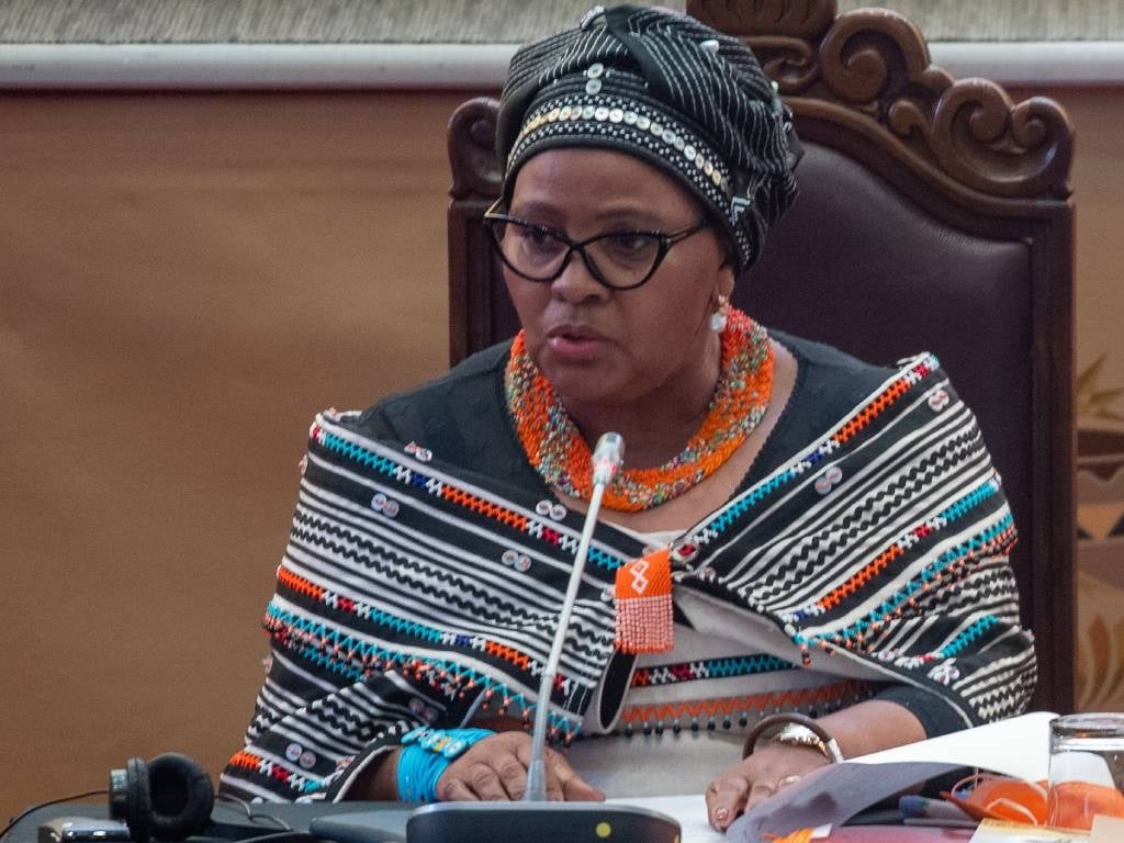 JUST IN | Mapisa-Nqakula launches urgent bid to block her arrest, demands evidence against her | News24