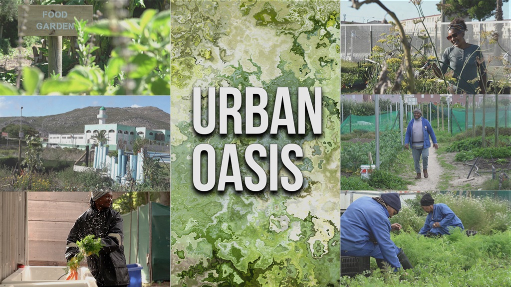 urban oasis, urban gardening, community, climate f