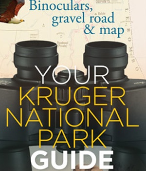 Your Kruger National Park Guide