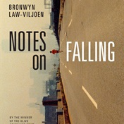 The text beneath the text: Bronwyn Law-Viljoen on writing Notes on Falling