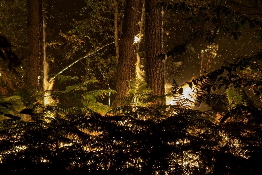 Fire burns in a forest near homes in Clefs-Val-D'Anjou, near La Fleche, western France on August 9, 2022
