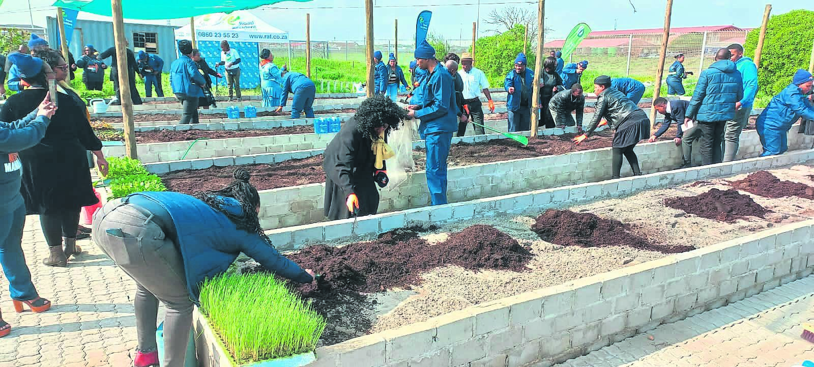 The Road Accident Fund team help by planting vegetables at the Khayelitsha Special School on Wednesday 3 August.PHOTO: SUPPLIED