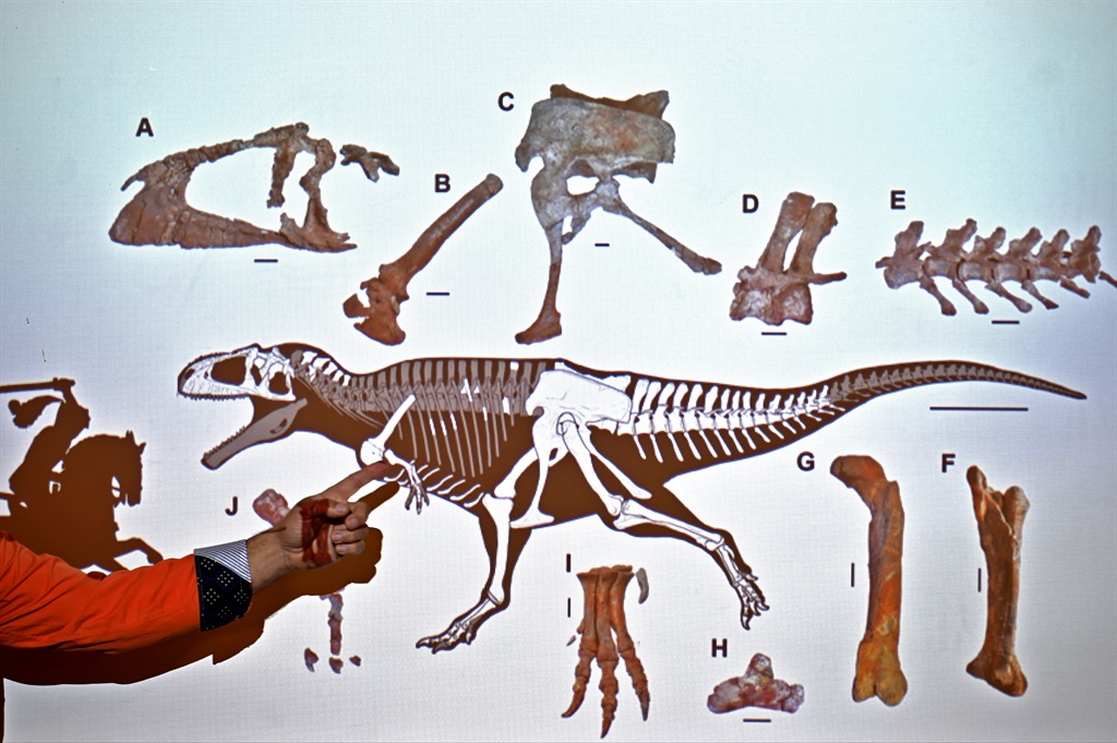 Argentine palaeontologist Sebastian Apesteguia shows a screen as he speaks about a newly discovered giant carnivorous dinosaur.