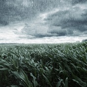 How climate change will hit SA's crop yields