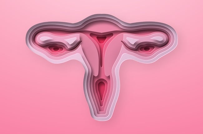 How well do you know your vagina?