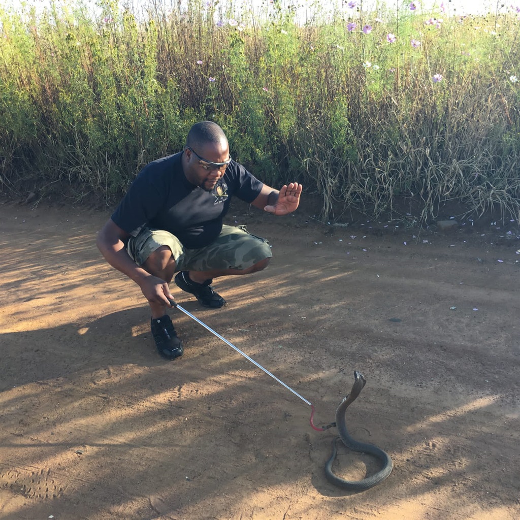 Christopher Mthombeni, who is known as a snake catcher. 