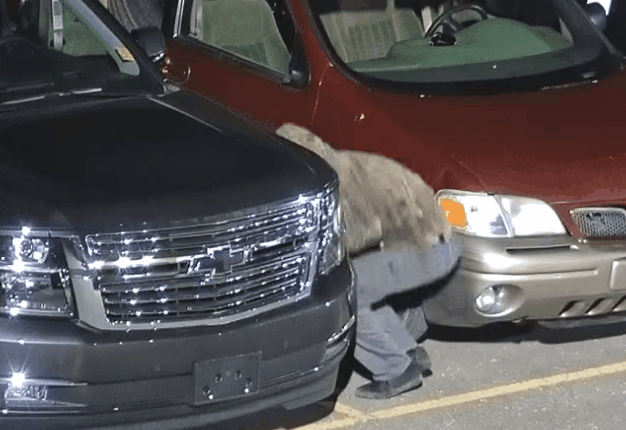 <b> THIEVES! : </b> Two men were thwarted by police while stealing wheels off a Chevrolet bakkie. <i> Image: Youtube </i>