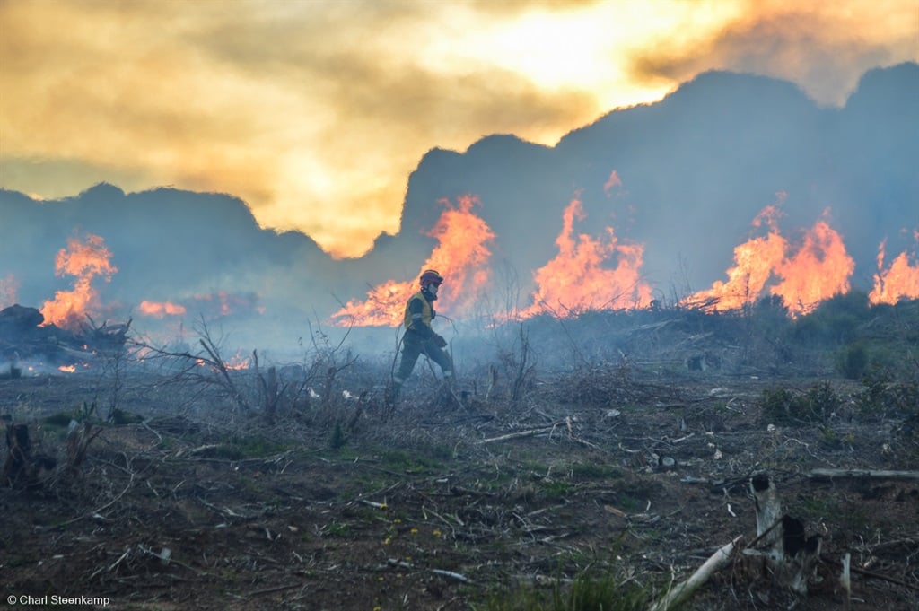 Firefighter Thozama Matabata doing what she does best as she battles a wildfire. (Charl Steenkamp/Supplied)