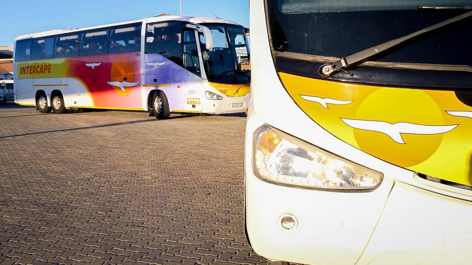 Intercape bus driver wounded in yet another shooting, drives himself to safety