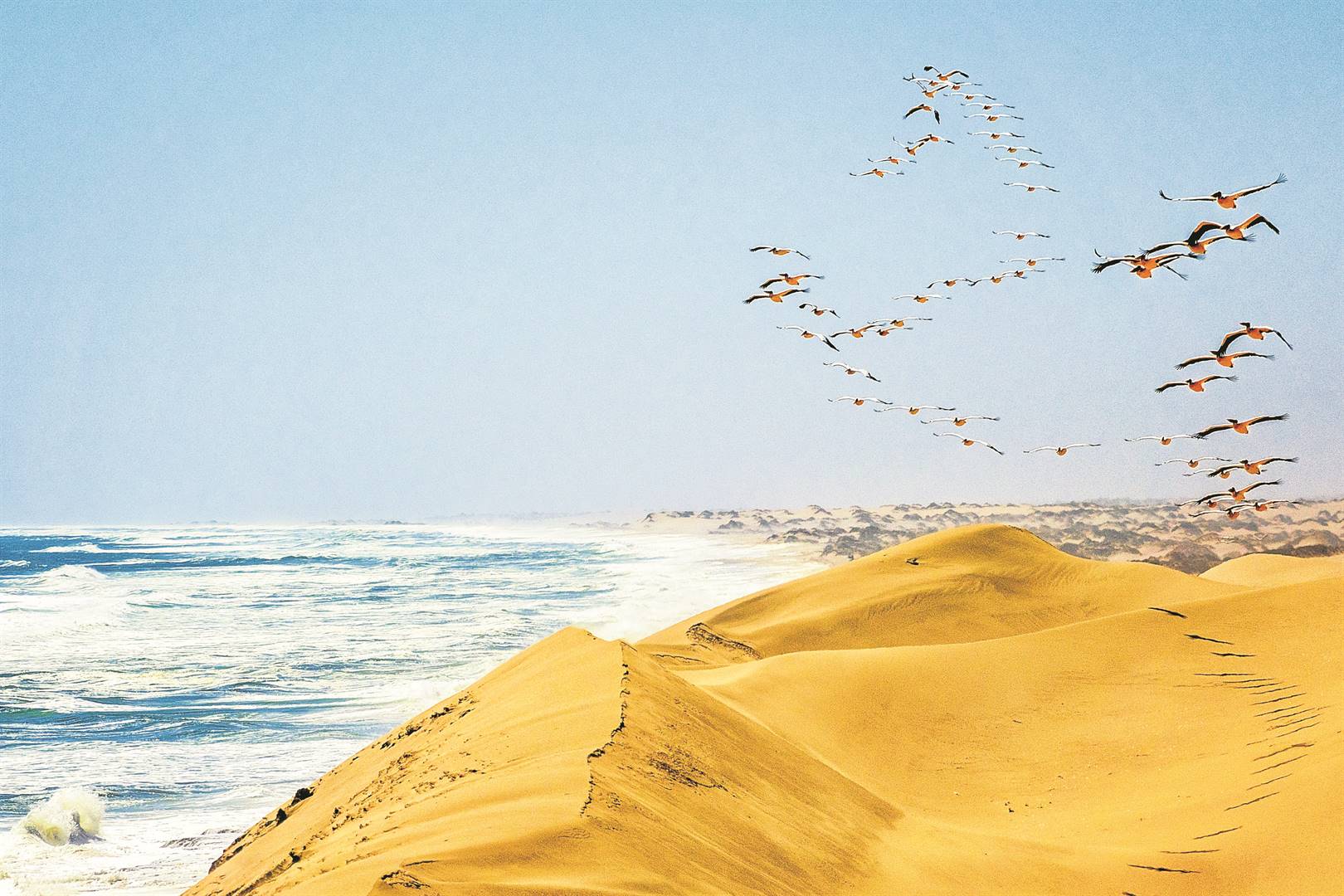 The coast of Namibia. Photo: ISTOCK
