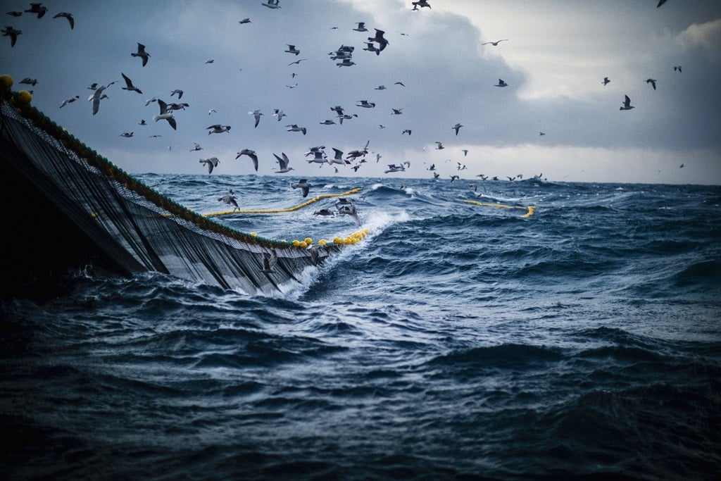 Fishing quotas, supply chain disruptions and input costs created a challenging environment for Sea Harvest.