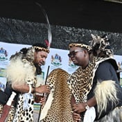 KZN cabinet refers 'mismanagement' in council led by Zulu kingdom PM Buthelezi to Cogta