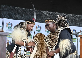 KZN cabinet refers 'mismanagement' in council led by Zulu kingdom PM Buthelezi to Cogta