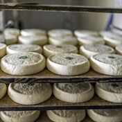 Dry summer puts squeeze on French Alps cheese