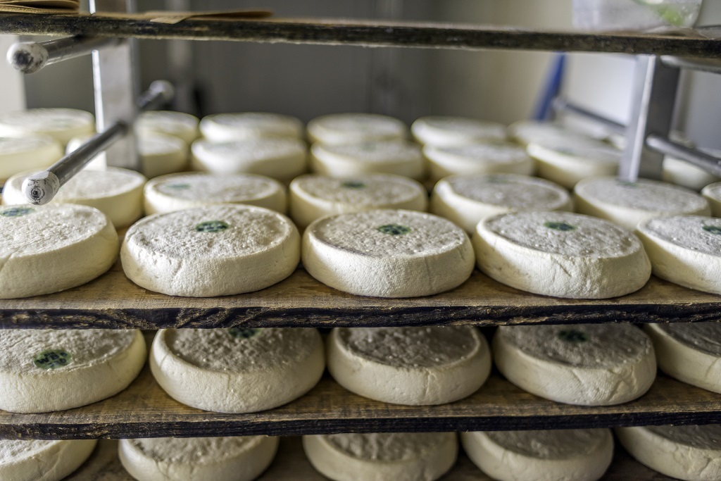 Farmers in the French Alps are struggling to produce cheeses amid a drought that has affected cows.