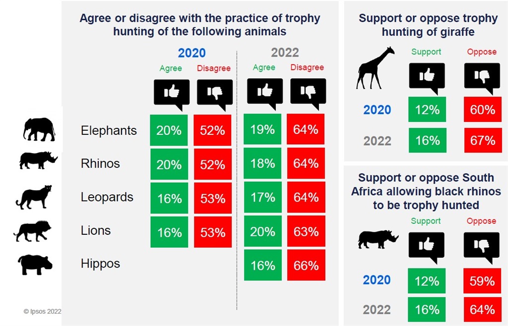 About 68% of South Africans oppose trophy hunting - survey ...