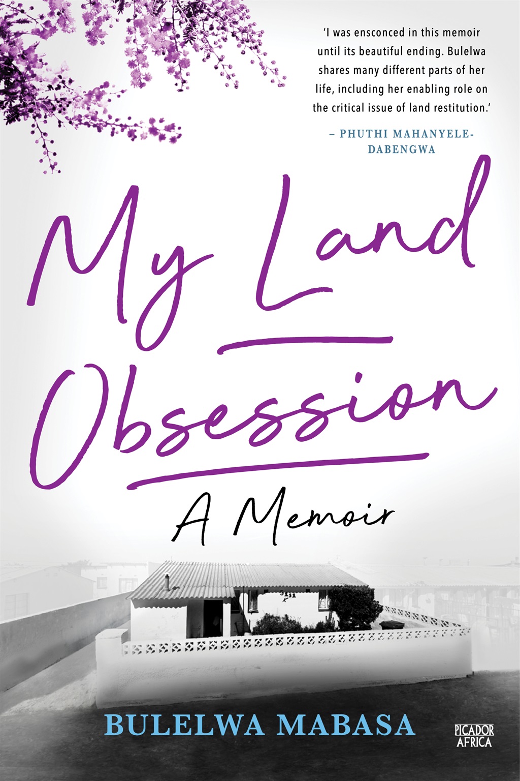 My Land Obsession by Bulelwa Mabasa. (Picador Africa)