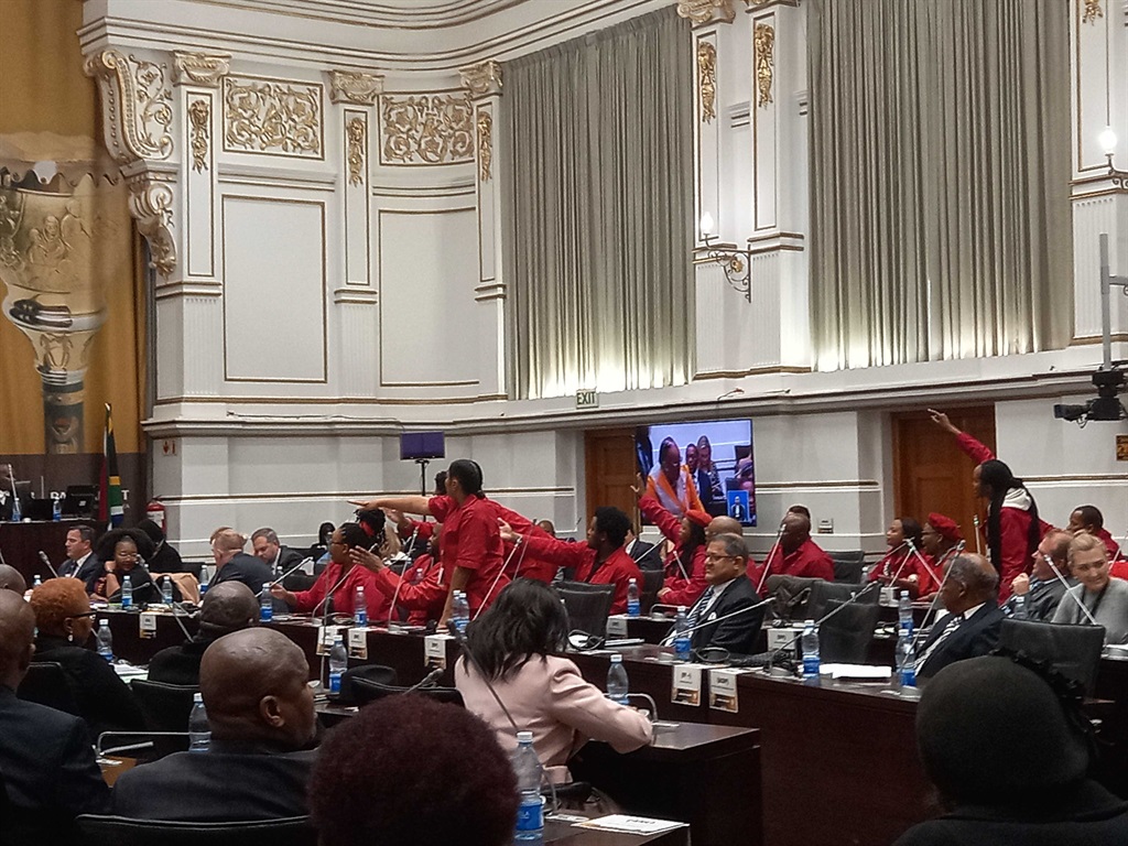 EFF members disrupt proceedings during a Parliament sitting on Tuesday. 