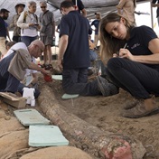 Fossilized tusk from giant ancient elephant found in Israel