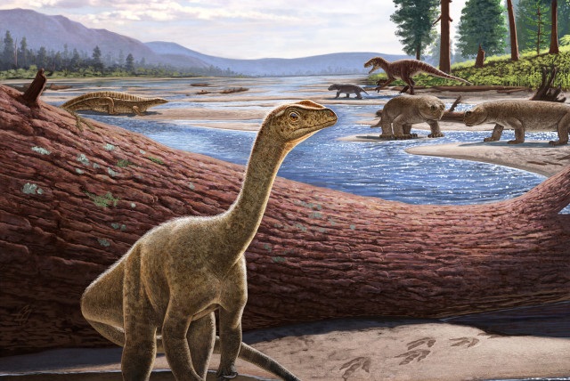 The oldest dinosaur fossil found in Africa, named the Mbiresaurus raathi, was recently discovered in Zimbabwe.