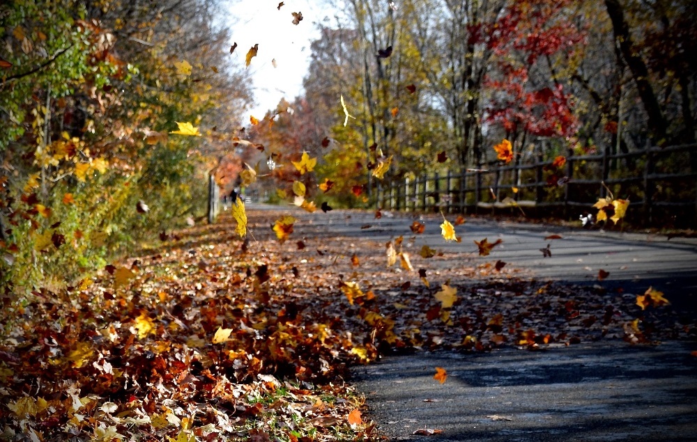 High winds and fire danger are expected early in the weekend.  (Mary Hengst/FOAP/Getty Images)