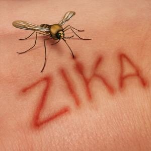 Zika – Google free image