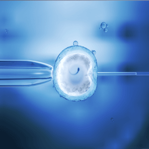 In vitro fertilisation is a safe and reliable way to fall pregnant. 