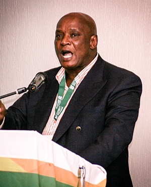 Mike Mlengana, director-general of the department of agriculture, forestry and fishing
