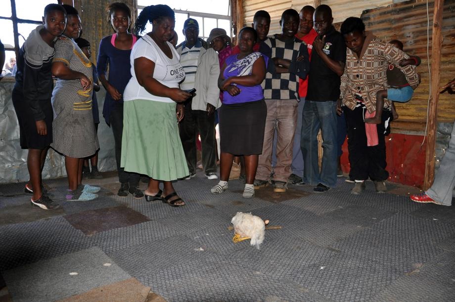 Church members and residents were shocked by the sight of the muthi chicken in the church. Photo by Samson Ratswana