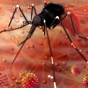 Zika might not last as long in sperm as initially thought. 