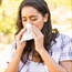 Climate change bad news for hay fever sufferers