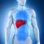 Organ network mapping a path to more fair liver transplants