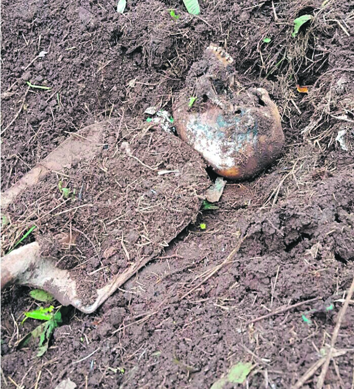 Hlangabeza Mbonambi found a human skull in his yard.  