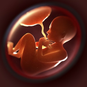 Stem cells from babies' umbilical cords can be used in the treatment of a number of diseases.