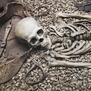 6th century skeletons shed light on deadly plague ...