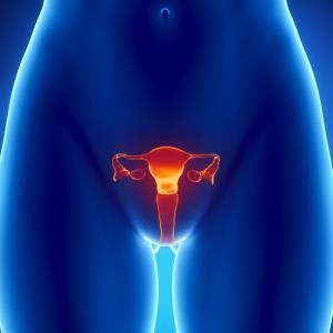Female reproductive system – iStock