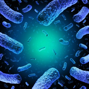 Listeriosis is one of the serious food-borne illnesses you can contract from bacteria. 