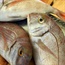SEE: Potentially dangerous mercury levels in SA retail fish