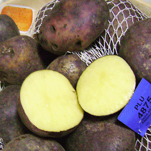 The new carb-free russet potato aka  Potatolite. Image supplied.