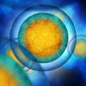 How do cells sense and adapt with oxygen?