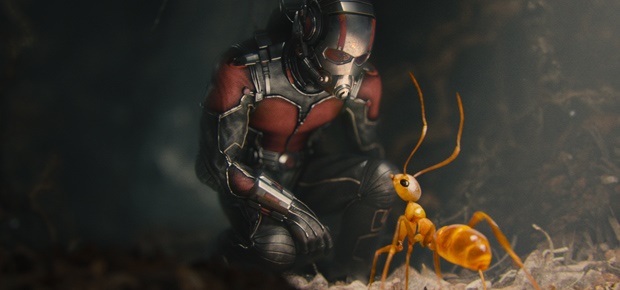 Paul Rudd in Ant-Man. (Marvel)