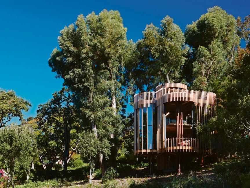 The tree house is situated among a natural clearing of trees on the property.
