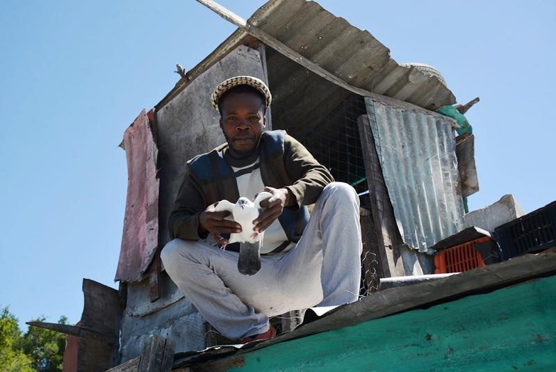 Birdman Melisizwe Taka (26) loves his birds because they wake him on time like an alarm clock every morning and alert him when someone comes to his shack in Mfuleni in Khayelitsha, close to Cape Town. Photo by Lulekwa Mbadamane